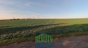 Prodej pozemku 132 775 m2 , Plaňany - Blinka, cena 69 CZK / m2, nabízí 