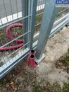 Nájem pozemku o výměře až 3934 m2, dělitelný, na Exit D5 ZDICE (okres Beroun), cena 25 CZK / m2 / měsíc, nabízí 