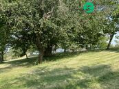 Klidný pozemek 3 359 m na polosamotě u Petrovic, cena 3790000 CZK / objekt, nabízí 