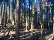 Prodej lesa 5373 m2, v Češtín u Jankova, cena 122000 CZK / objekt, nabízí 