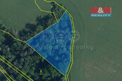 Prodej lesa, Dolní Bousov, cena 60000 CZK / objekt, nabízí