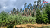 Prodej lesa, 108447 m2, Březovice, cena 3470300 CZK / objekt, nabízí 