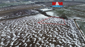 Prodej pole, 7366 m2, Přišimasy, cena cena v RK, nabízí 