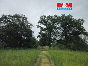 Prodej lesa v Tuřicích, cena 2660000 CZK / objekt, nabízí 