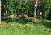 Prodej lesa, 7042 m2, Petrovice, cena 1037900 CZK / objekt, nabízí 