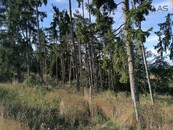 Prodej lesních pozemků 2.824 m2 Louňovice pod Blaníkem, cena 75000 CZK / objekt, nabízí 