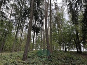 Prodej lesy, 9 048 m2 - Chrášťany, cena 125 CZK / m2, nabízí